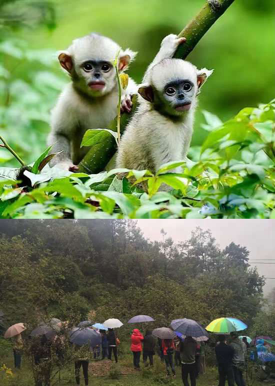 源碼公益！把愛帶到藏區