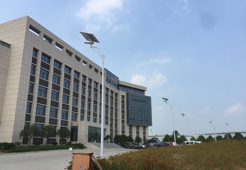 湖北太陽能路燈-駿馬燈工程